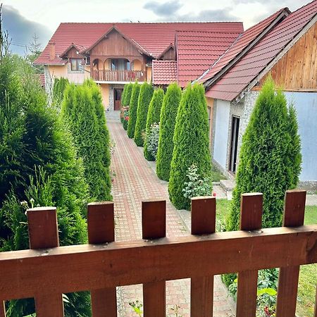Pensiunea Casa Nina Cîrţişoara Exterior foto