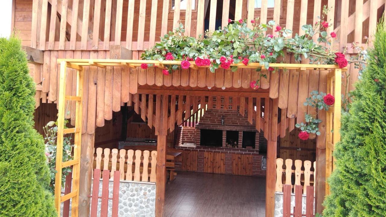 Pensiunea Casa Nina Cîrţişoara Exterior foto