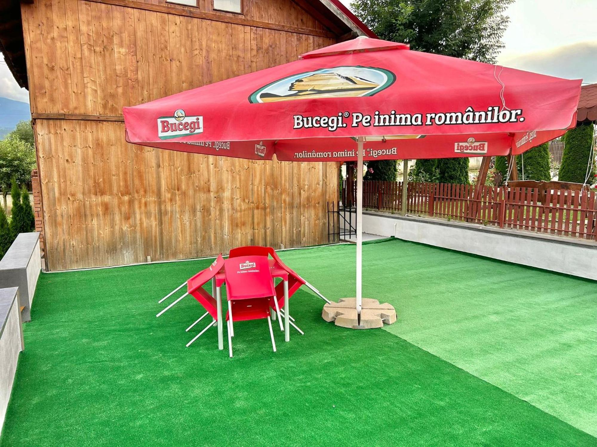 Pensiunea Casa Nina Cîrţişoara Exterior foto