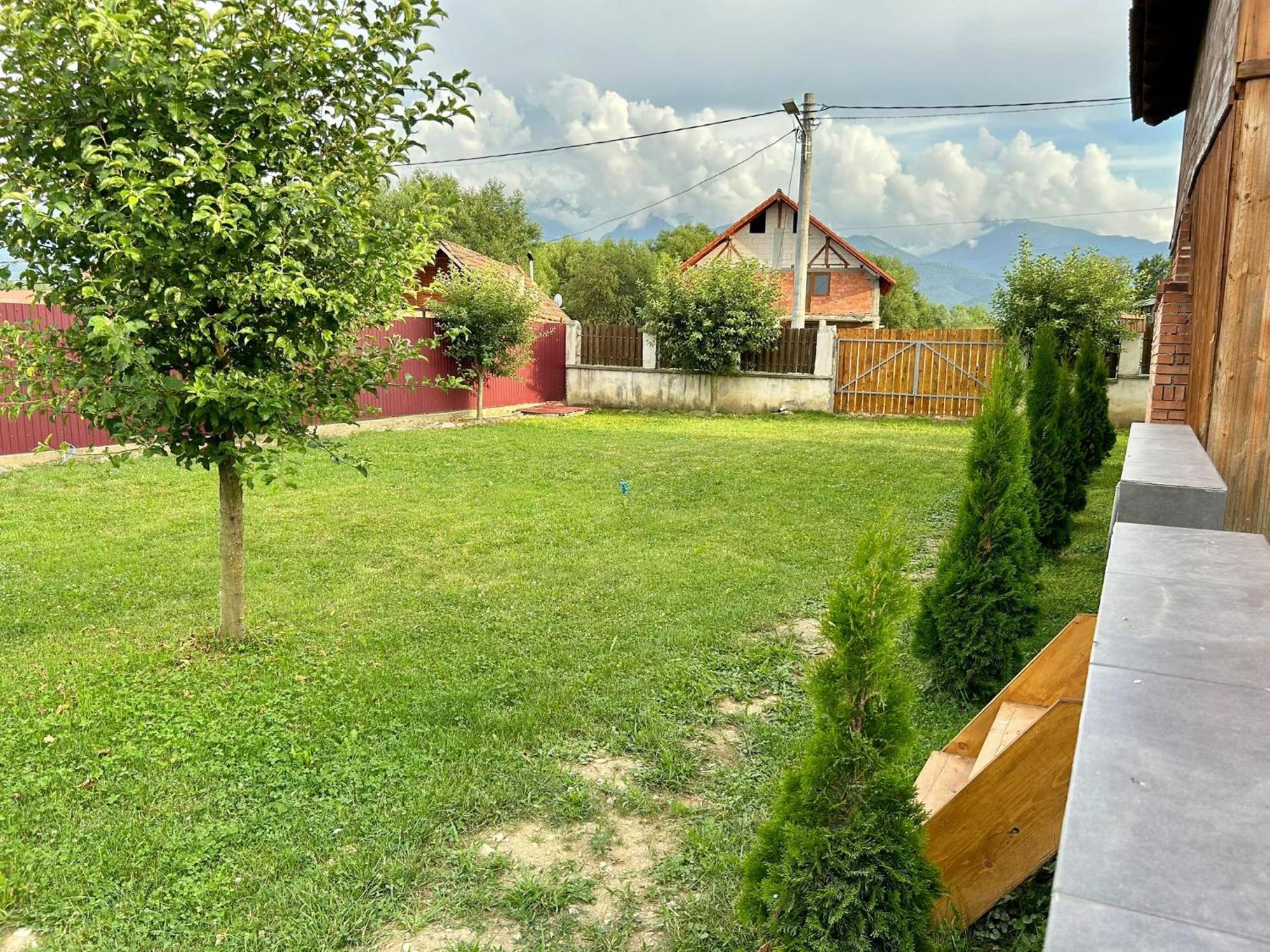 Pensiunea Casa Nina Cîrţişoara Exterior foto