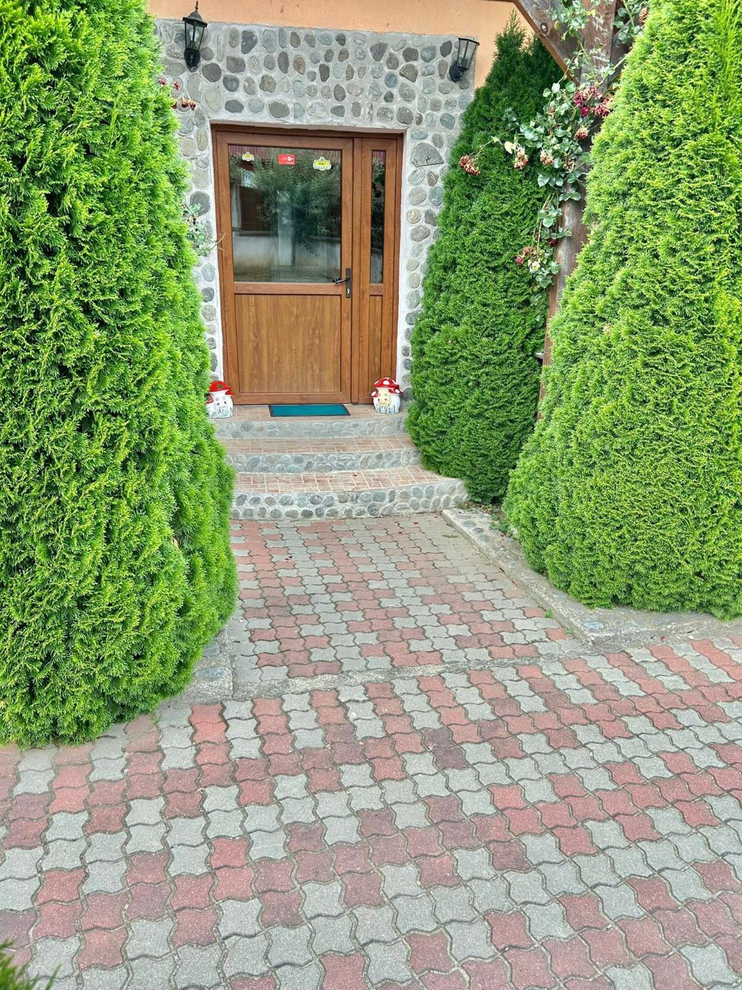 Pensiunea Casa Nina Cîrţişoara Exterior foto