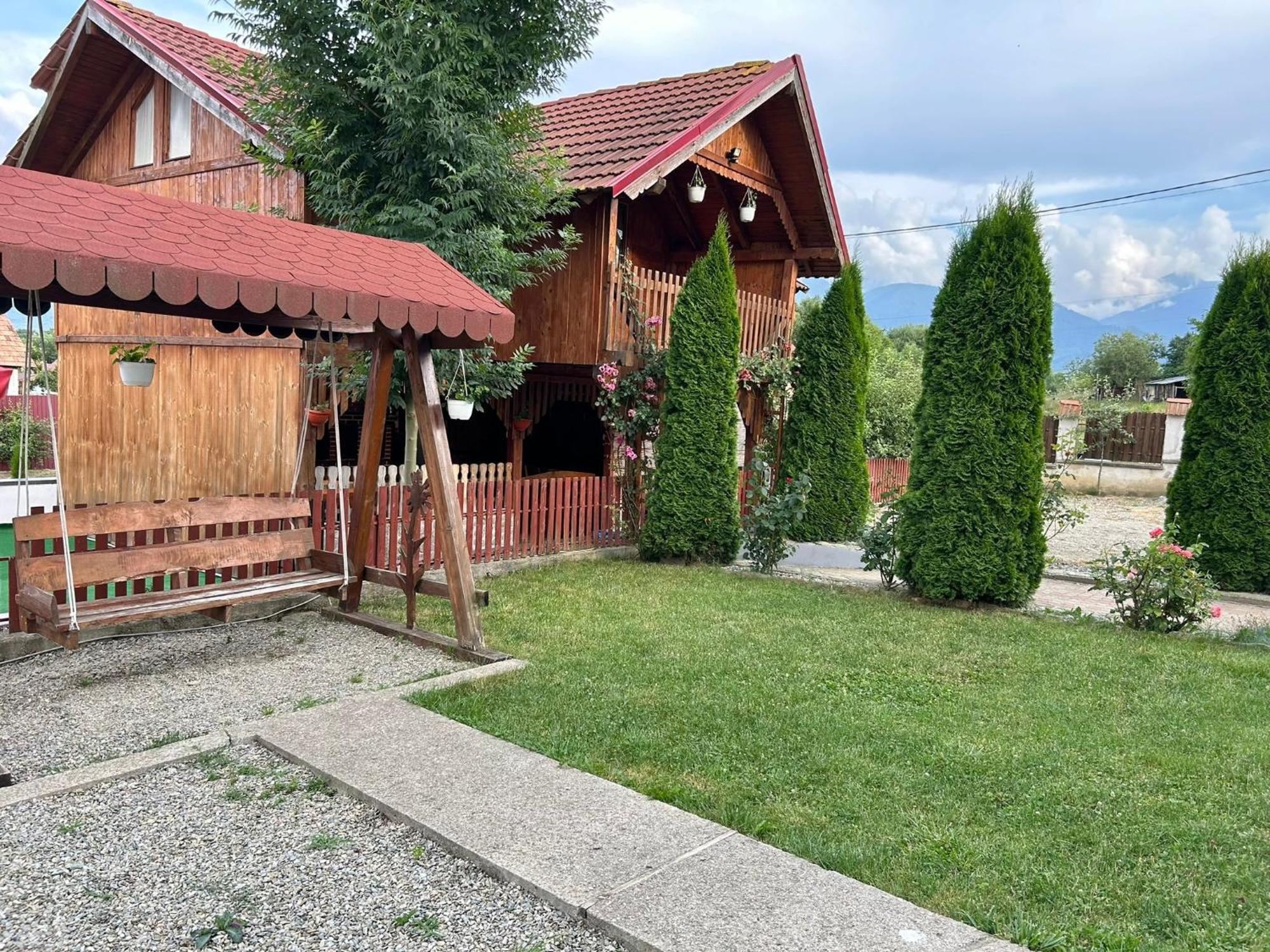 Pensiunea Casa Nina Cîrţişoara Exterior foto